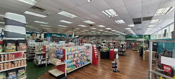 Pet Supermarket Picture 5
