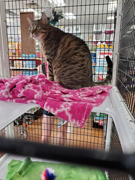 Pet Supermarket Picture 10