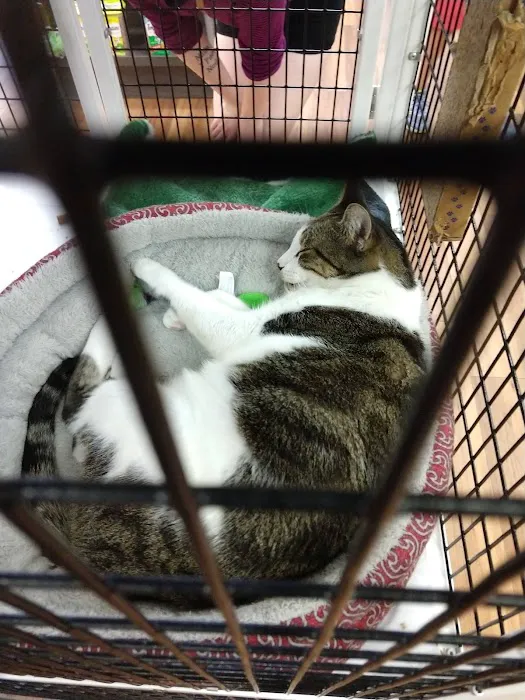 Pet Supermarket Picture 3