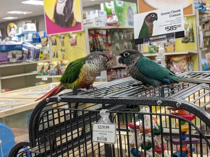 Pet Supermarket Picture 7