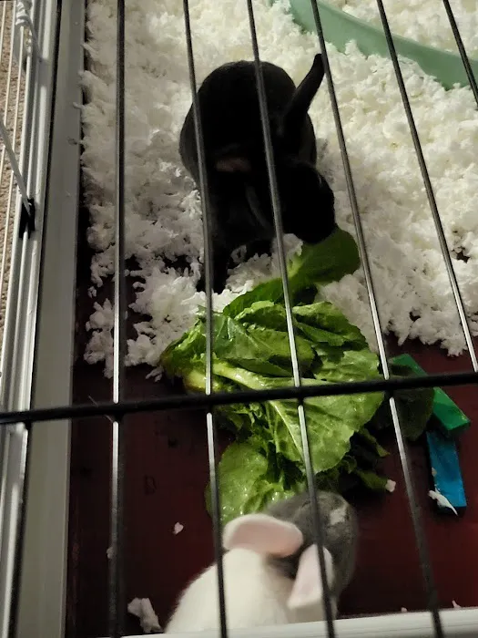 Pet Supermarket Picture 8