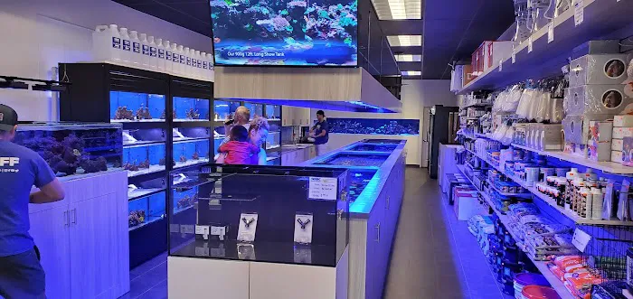 World Wide Corals - Winter Park Picture 9