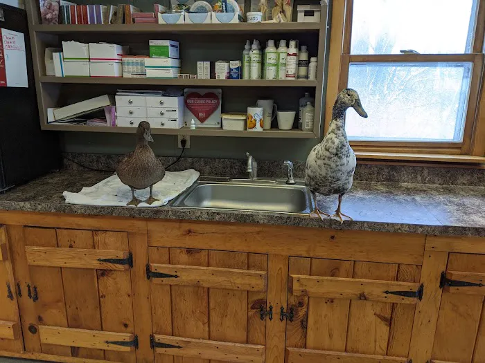Mohawk Valley Veterinary Services Picture 1