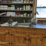 Mohawk Valley Veterinary Services
