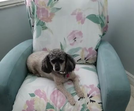 Petco