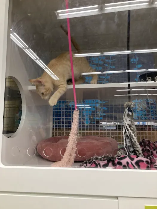 Petco Picture 9