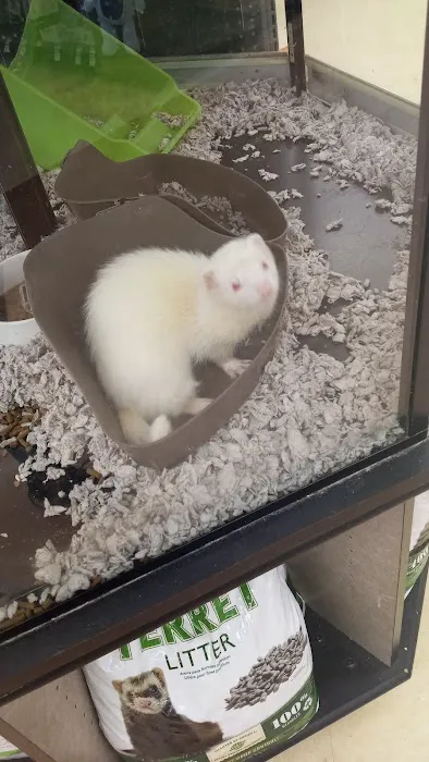 Petco Picture 7