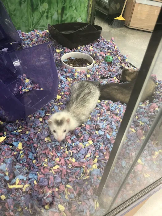Petco Picture 9