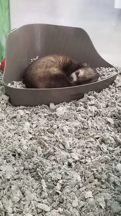 Petco Picture 10