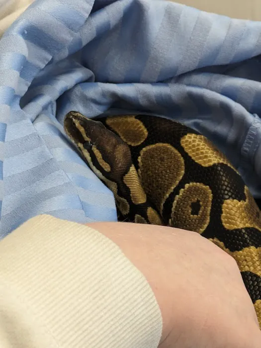VCA Burrstone Animal Hospital Picture 9