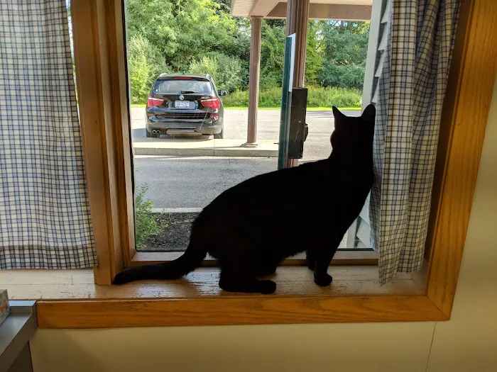 VCA Burrstone Animal Hospital Picture 6