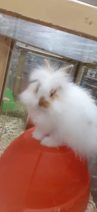 Pet Supermarket Picture 1