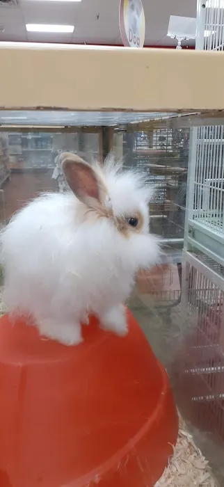Pet Supermarket Picture 2