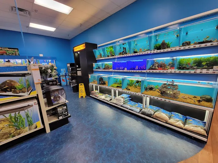 Pet Supermarket Picture 6