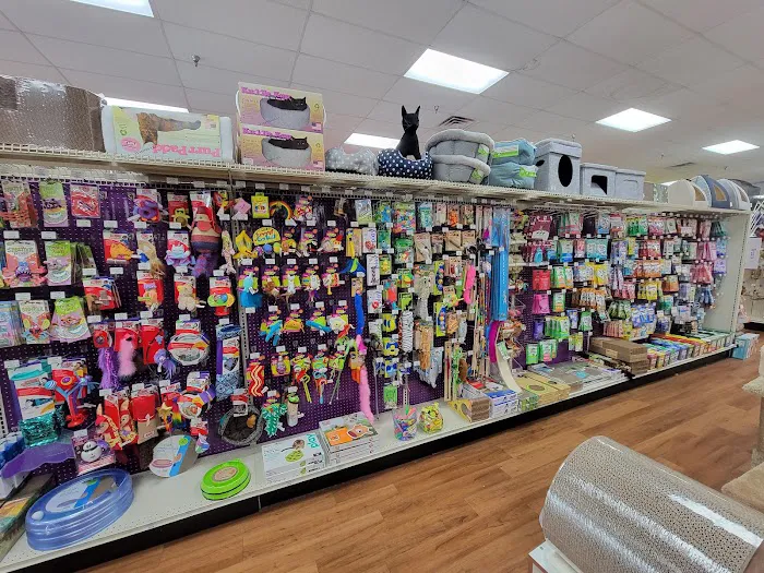 Pet Supermarket Picture 8