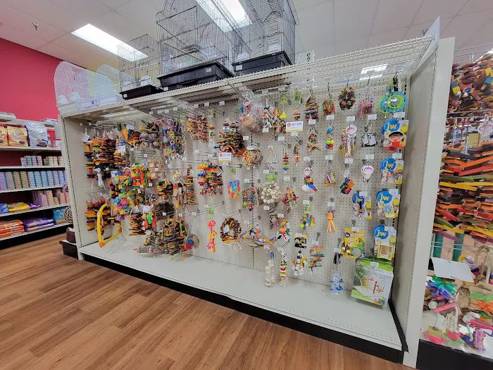 Pet Supermarket Picture 10