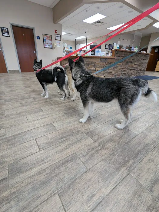 CNY Veterinary Medical Services Picture 8