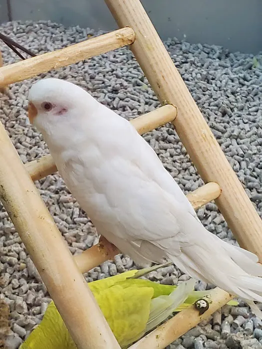 Petco Picture 3