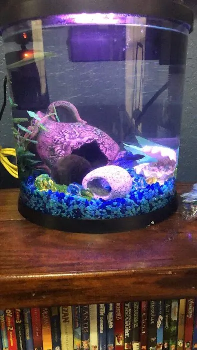 Petco Picture 6