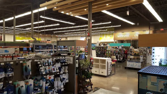 Petco Picture 7