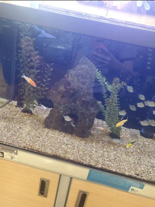 Petco Picture 8