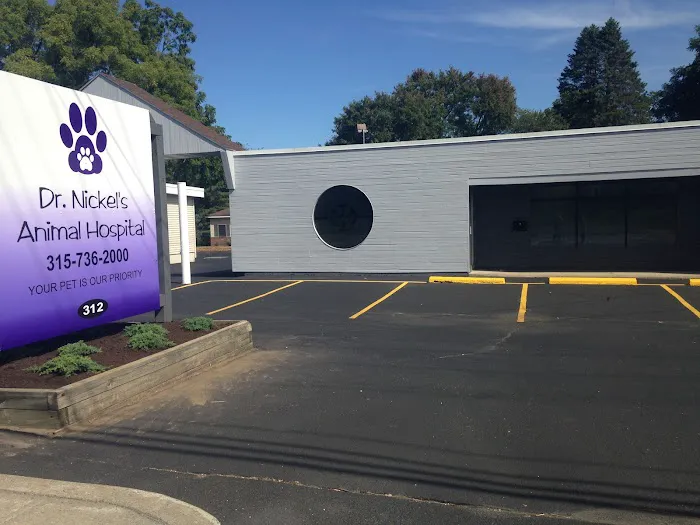 Dr. Nickel's Animal Hospital Picture 6