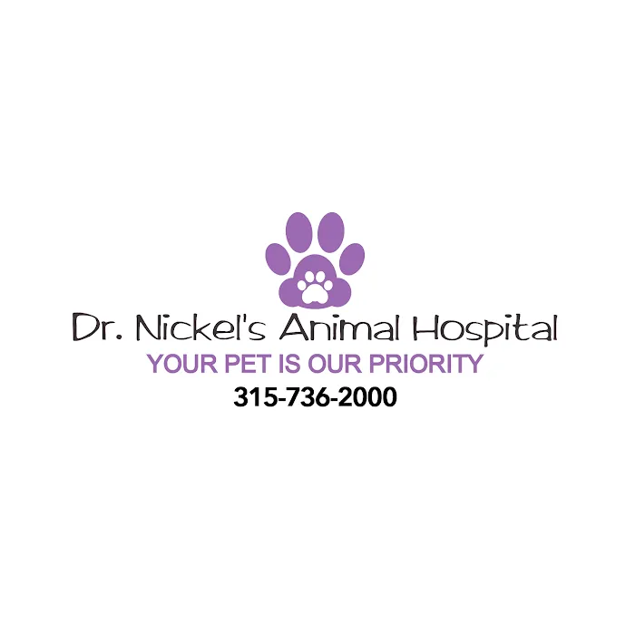 Dr. Nickel's Animal Hospital Picture 5