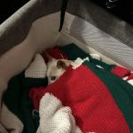 Dr. Nickel's Animal Hospital