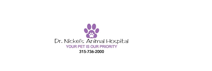 Dr. Nickel's Animal Hospital Picture 2