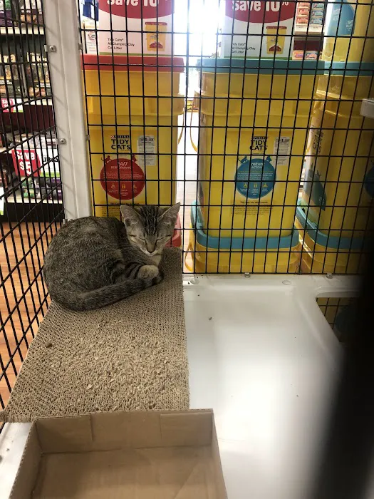 Pet Supermarket Picture 2