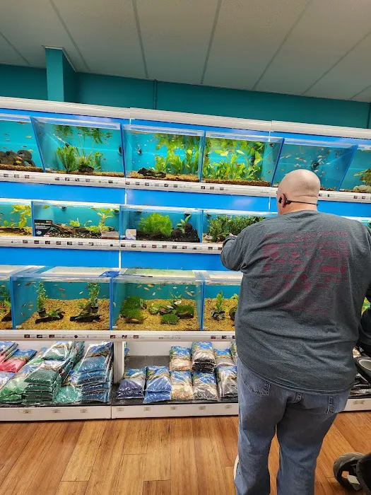 Pet Supermarket Picture 5