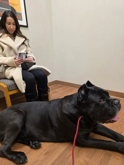 Manlius Veterinary Hospital Picture 1