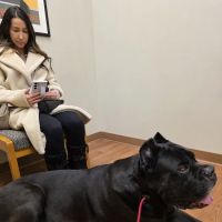 Manlius Veterinary Hospital ico