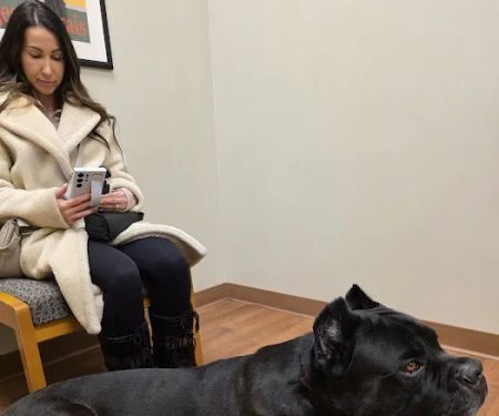 Manlius Veterinary Hospital