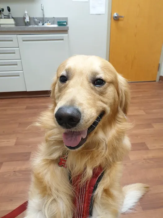 Manlius Veterinary Hospital Picture 2