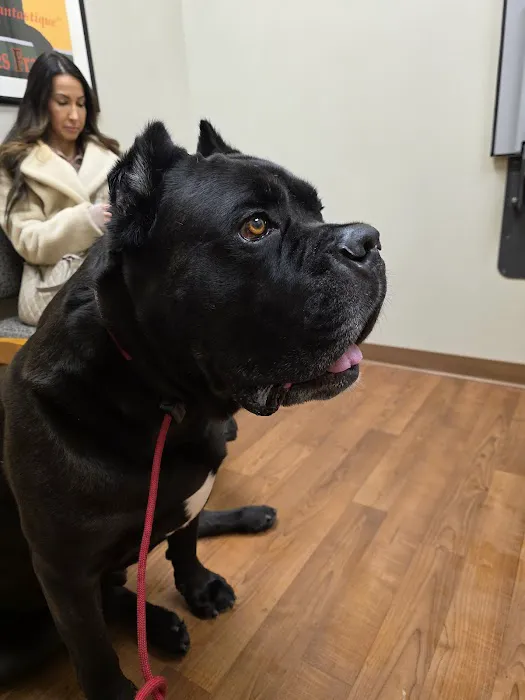 Manlius Veterinary Hospital Picture 6