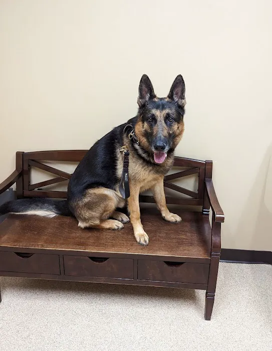Compassionate Care Veterinary Hospital of Manlius, P.C. Picture 7