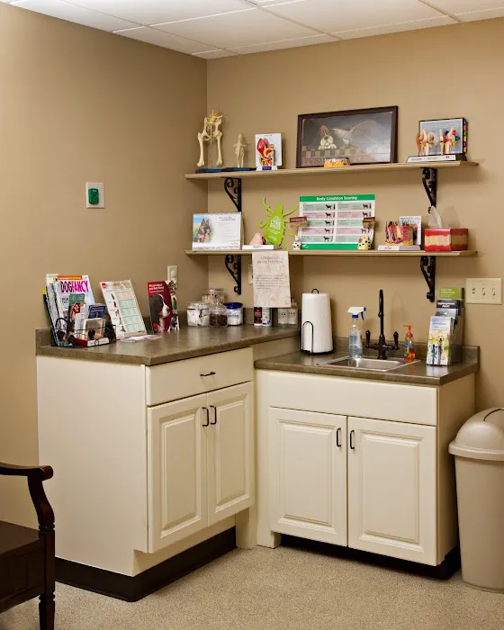 Compassionate Care Veterinary Hospital of Manlius, P.C. Picture 3