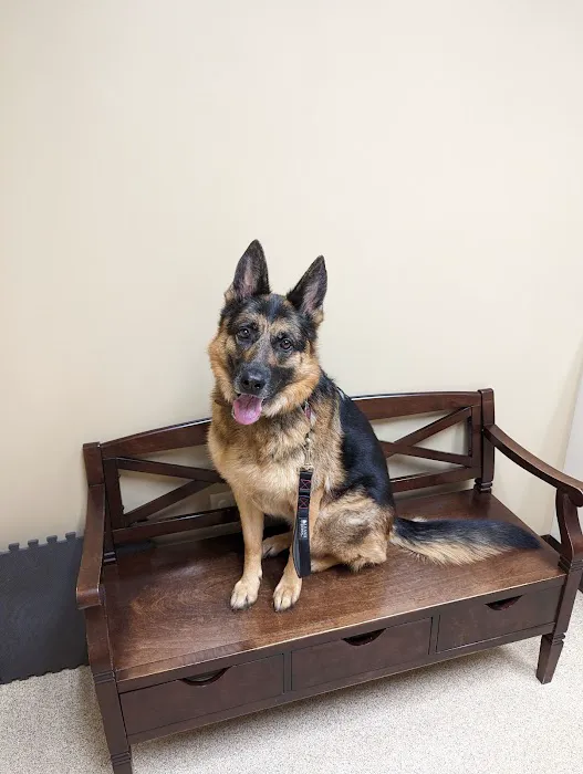 Compassionate Care Veterinary Hospital of Manlius, P.C. Picture 5