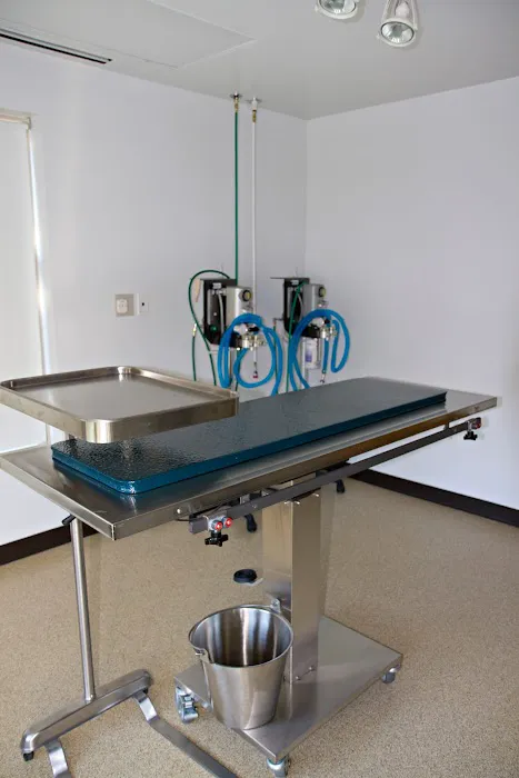 Compassionate Care Veterinary Hospital of Manlius, P.C. Picture 10