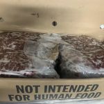 Seminole Animal Supply Inc