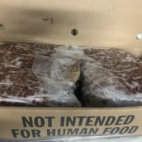 Seminole Animal Supply Inc ico
