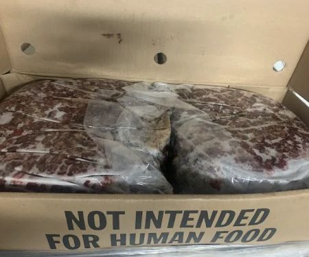 Seminole Animal Supply Inc
