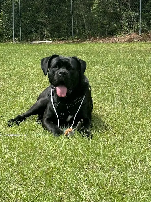 Seminole Animal Supply Inc Picture 6