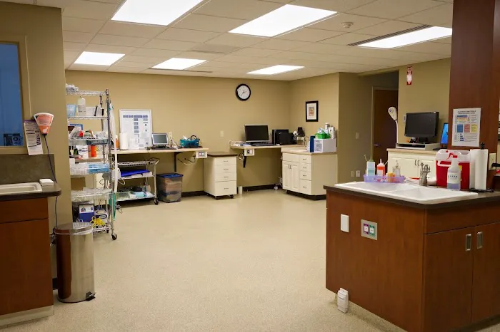 Compassionate Care Veterinary Hospital of Manlius - Dr. J Endres Picture 9