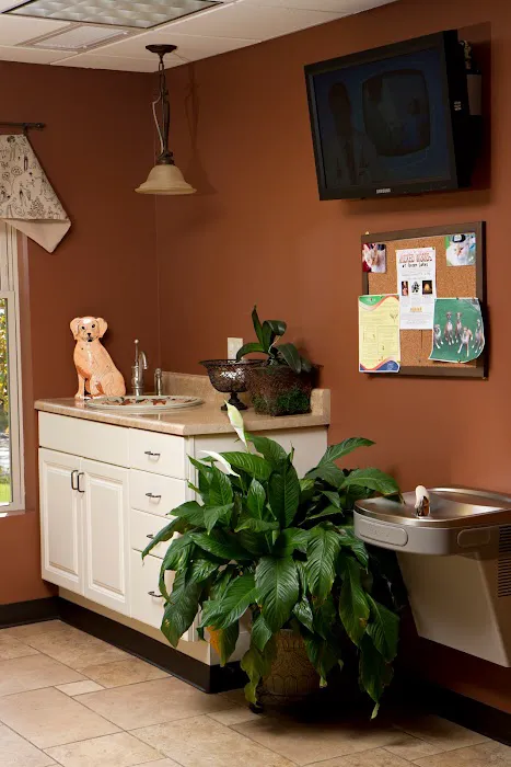 Compassionate Care Veterinary Hospital of Manlius - Dr. J Endres Picture 8