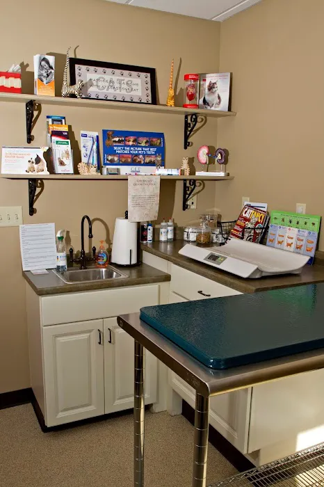 Compassionate Care Veterinary Hospital of Manlius - Dr. J Endres Picture 3