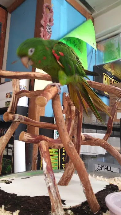 Pet Bazaar Picture 4