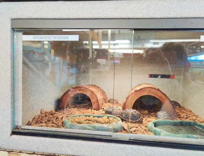 Pet Bazaar Picture 3