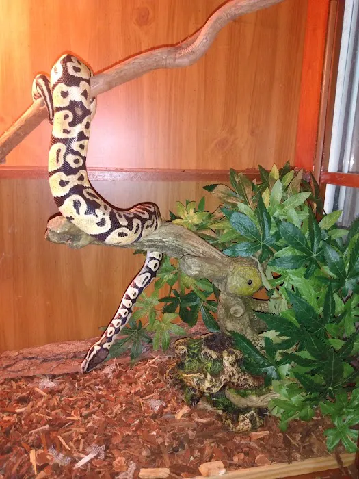 Pet Bazaar Picture 10